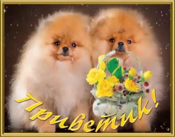 Красивое Приветствие