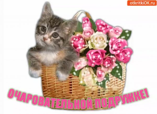 Открытка очаровашка моя