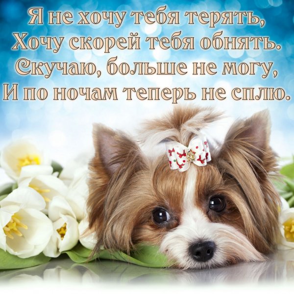 Открытка скучаю