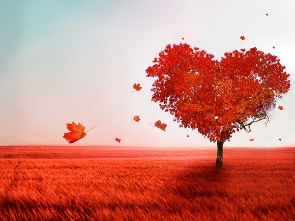 Я скучаю по тебе