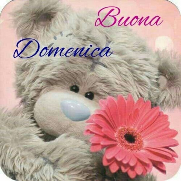 Любимой девушке