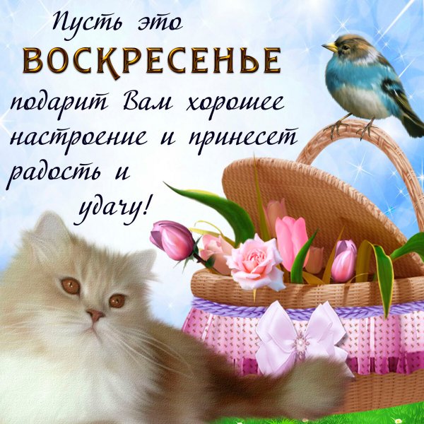 Поздравления с воскресным днем