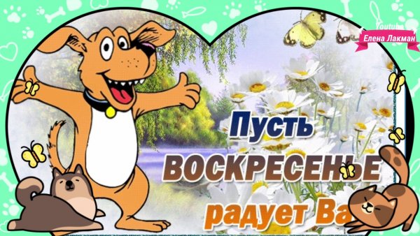 Открытки воскресенье выходной