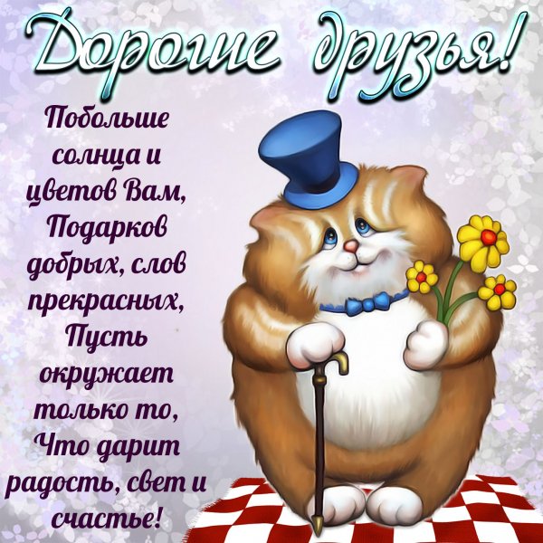 Коты с пожеланиями