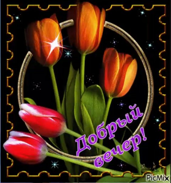 Анимированные тюльпаны