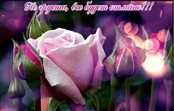 Открытки всё будет хорошо не грусти