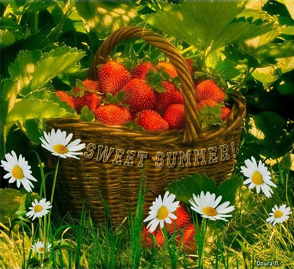 Открытки лето