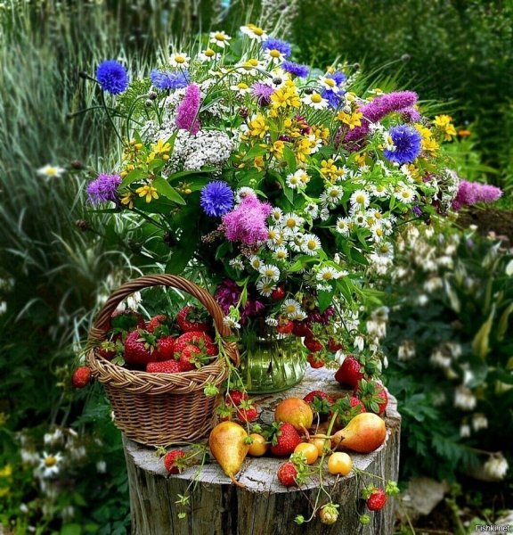 Августовские цветы