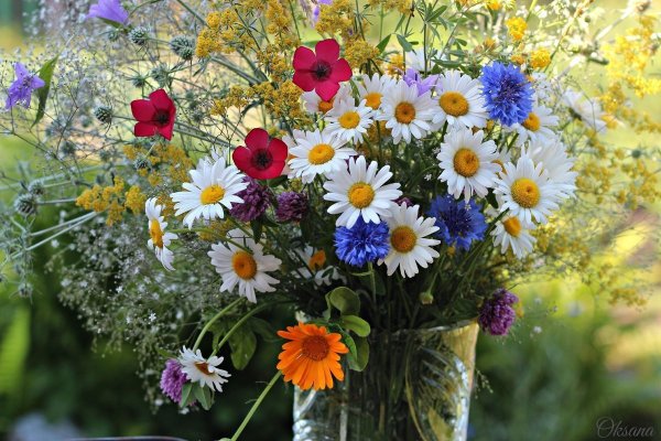 Букет полевых цветов