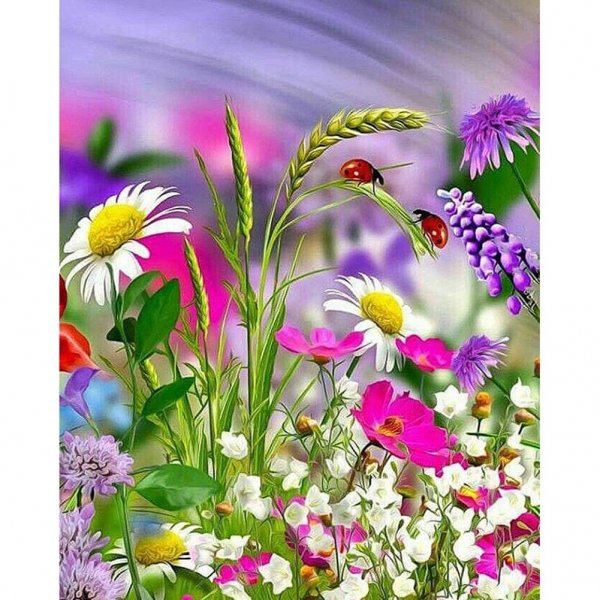 Летние цветы