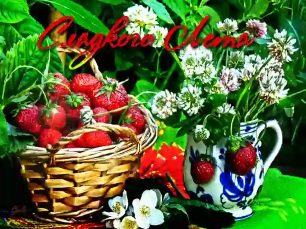 Хорошего летнего настроения