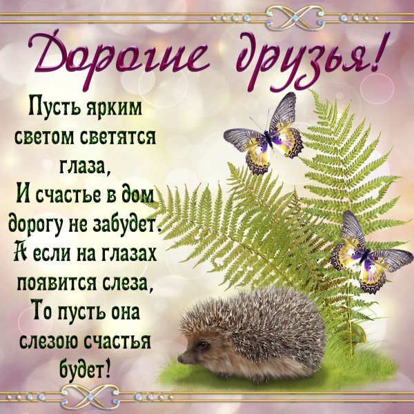 Поздравление для кодрузец