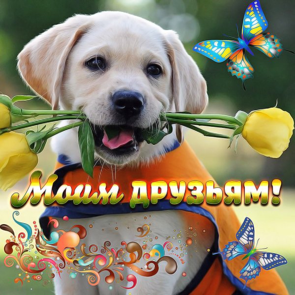 Красивые открытки для друзей