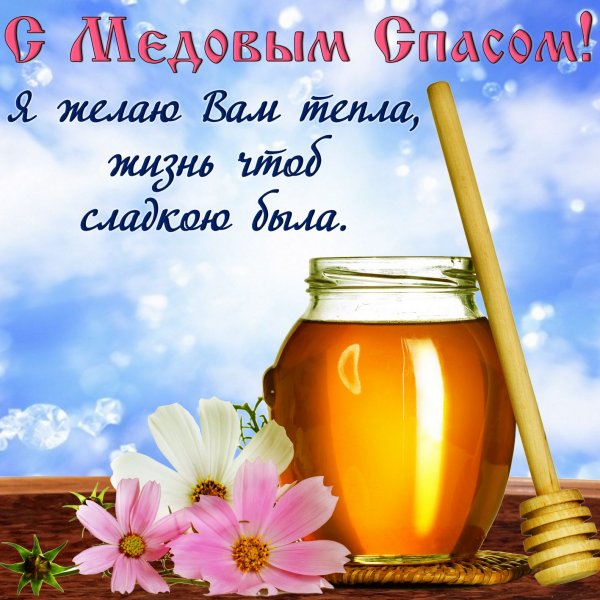 Поздравления с медовый спамом