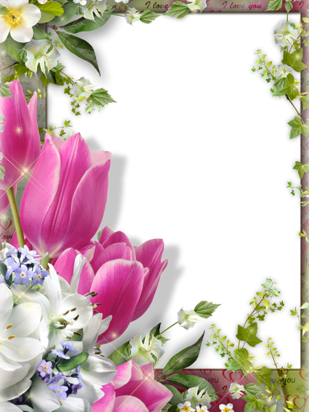 Тюльпаны рамка
