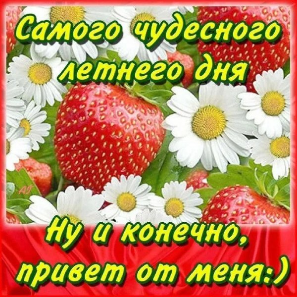 С летом поздравления