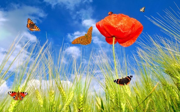 Пейзаж с бабочками