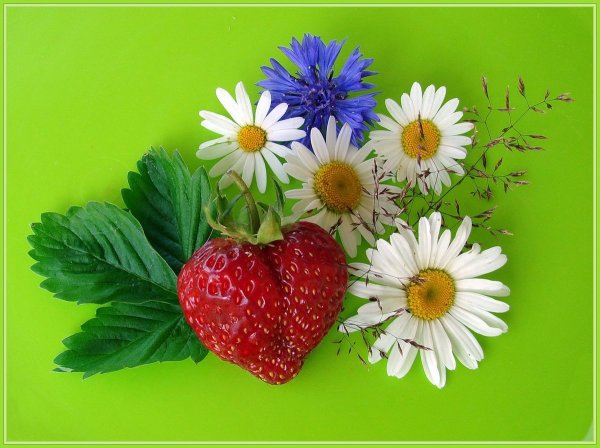 Открытка отличного лета