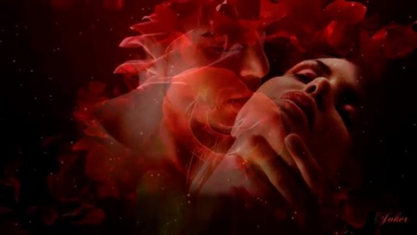 Цветок. Страсть