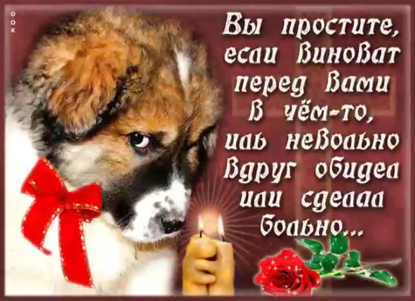 Открытка прощаю