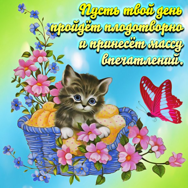 Приятные пожелания на каждый день