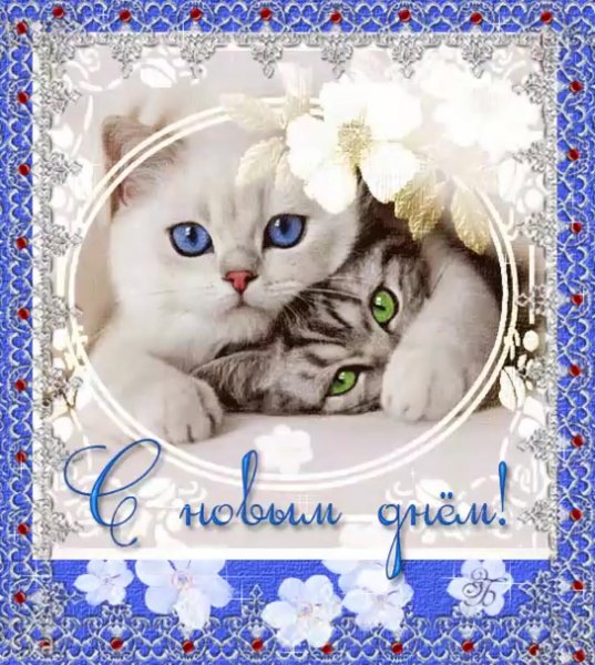 Поздравление с новым днё м