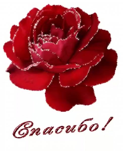 Открытка спасибо