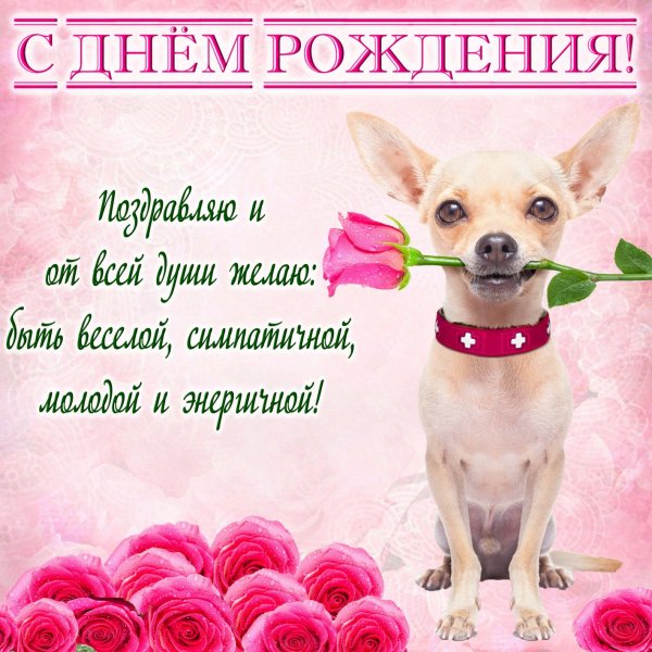 С днемрожденич девушке