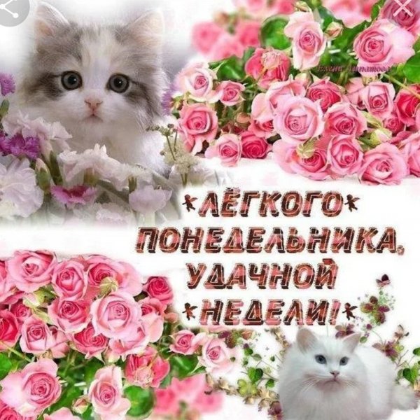 Открытки с понедельником удачной недели