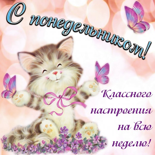 Пожелания доброго понедельника