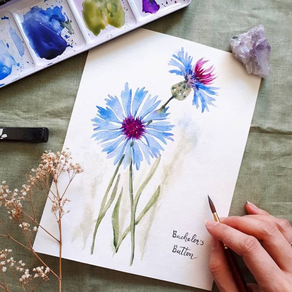 Акварельные открыточки