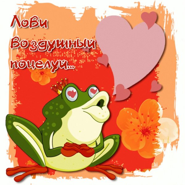 Прикольные открытки любимой