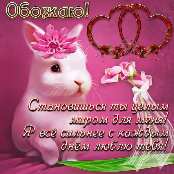 Открытка «я тебя люблю»