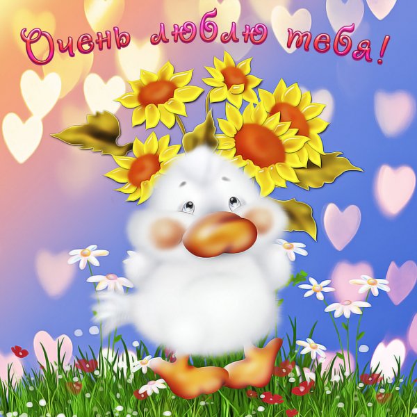 Открытки любимому