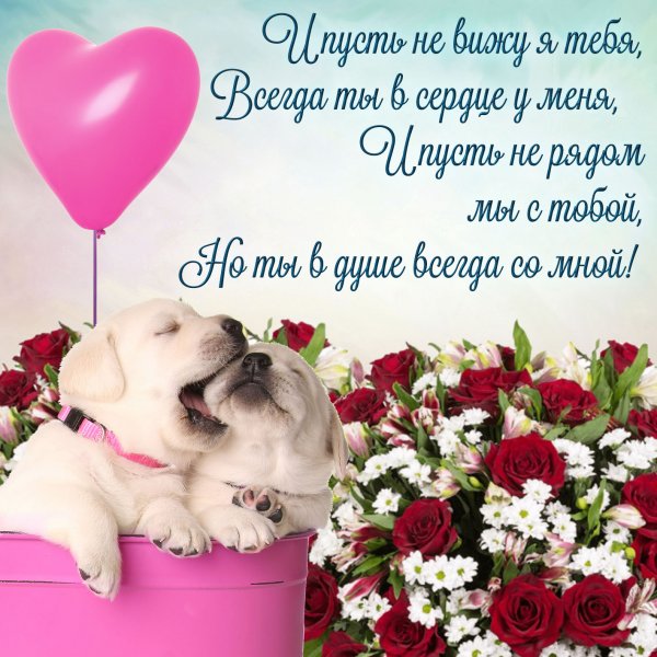 Открытки любимому