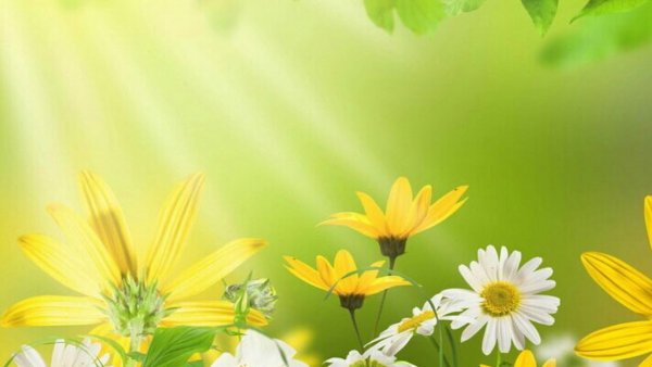 Поздравления с днём ангела