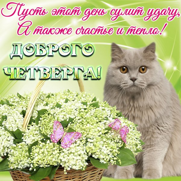 Открытки хорошего четверга