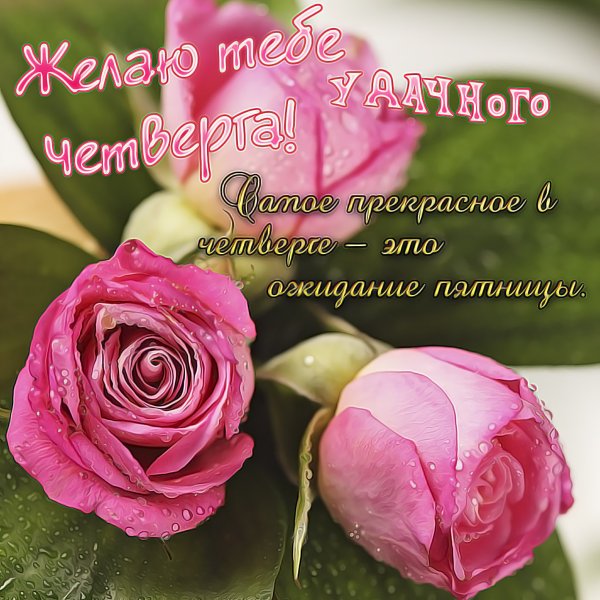 Открытки на четверг с пожеланиями