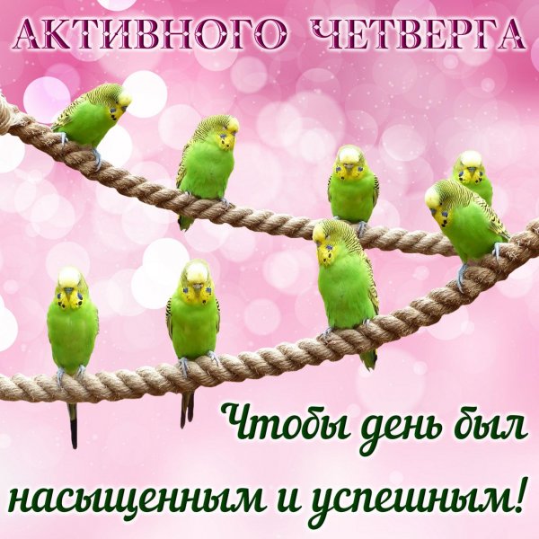 Пожелания хорошего четверга прикольные