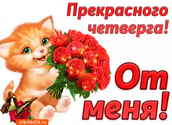 Доброе утро четверга