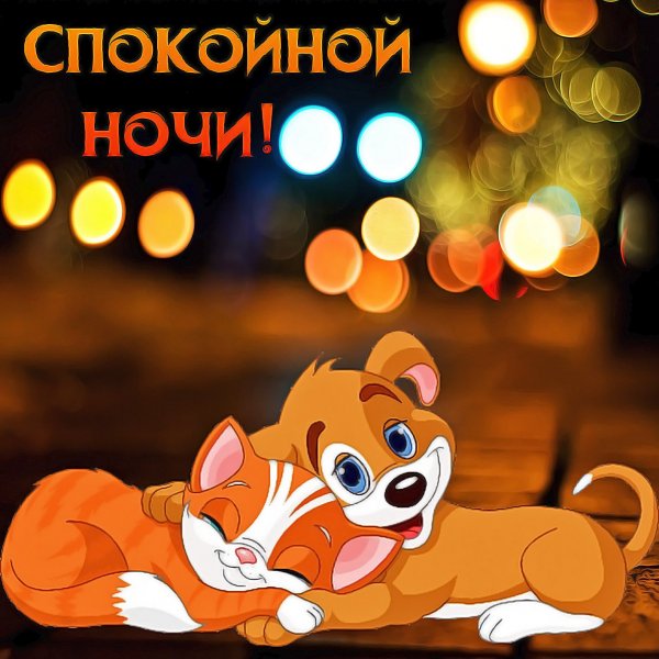 Прикольные пожелания спокойной ночи