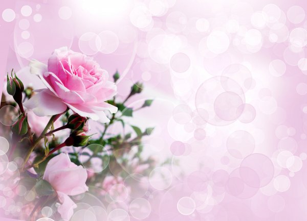 Цветочный фон