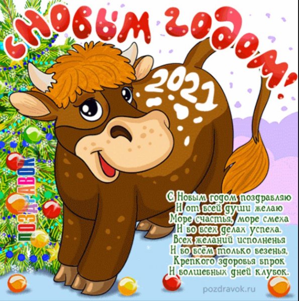 С новым годом 2021 быка