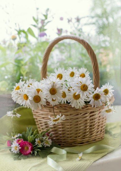 Корзина с полевыми цветами