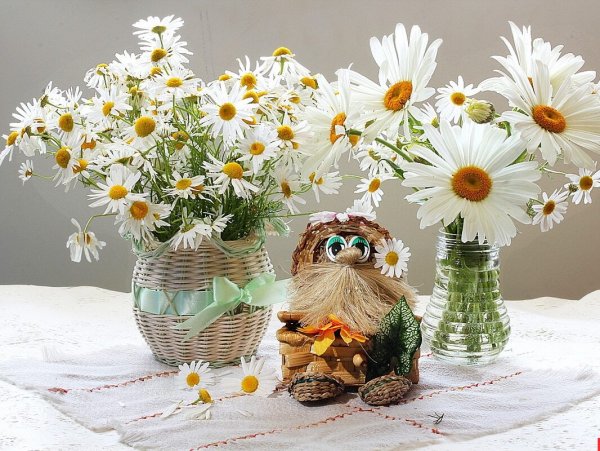 Открытки с ромашками