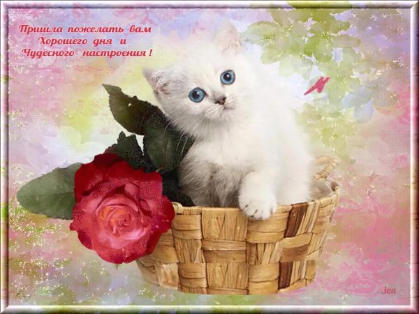 Хорошие открытки