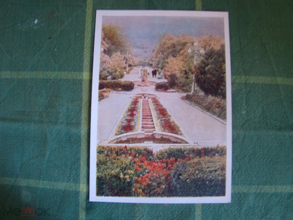 Протека Железноводск