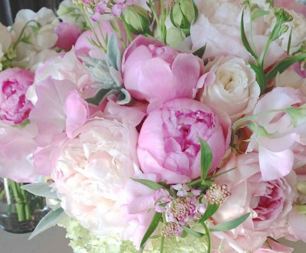 Нежный букет пионов