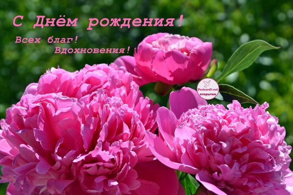 С днём рождения женщине пионы