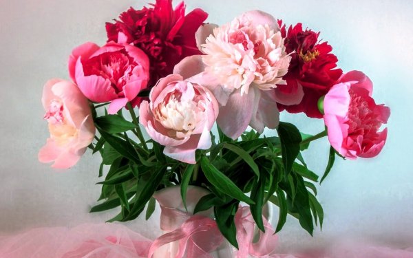 Прекрасные пионы